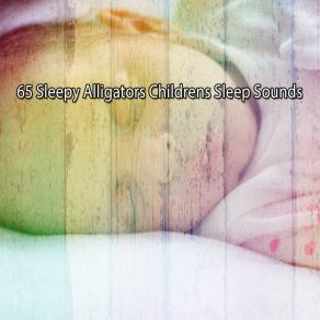 65 Sleepy Alligators Childrens Sleep Sounds album cover