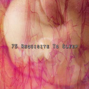 75 Requisite To Sle album cover