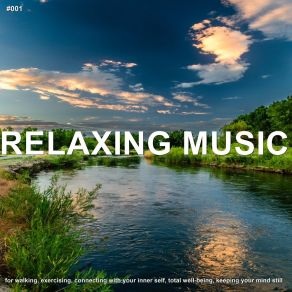 # 001 Relaxing Music For Walking, Exercising, Connecting With Your Inner Self, Total Well-Being, Keeping Your Mind Still album cover