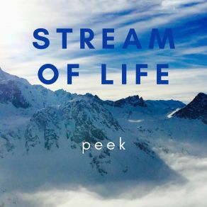 Stream Of Life album cover