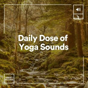 Daily Dose Of Yoga Sounds album cover