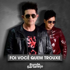 Foi Você Quem Trouxe album cover
