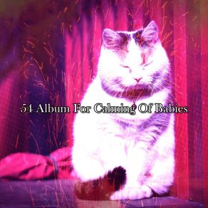 54 Album For Calming Of Babies album cover