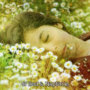 47 Bed & Naptime album cover