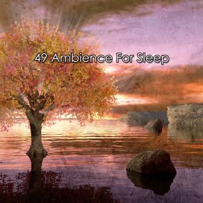 49 Ambience For Sle album cover