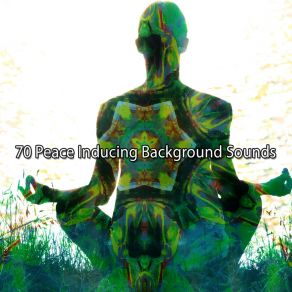 70 Peace Inducing Background Sounds album cover