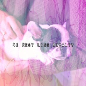 41 Rest Like Royalty album cover