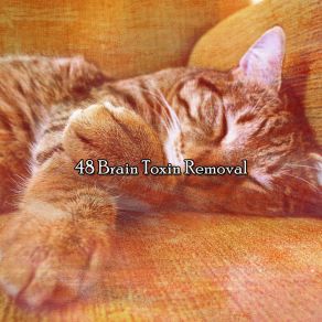 48 Brain Toxin Removal album cover