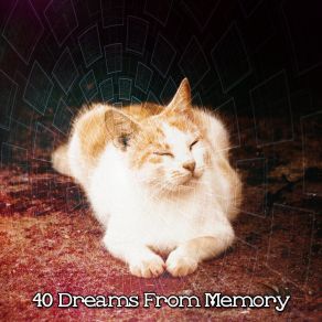 40 Dreams From Memory album cover