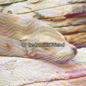 41 Bedrooms Friend album cover