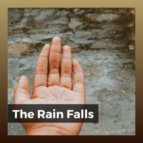 The Rain Falls album cover