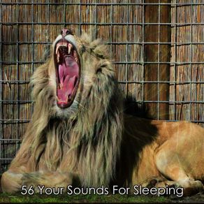 56 Your Sounds For Sleeping album cover
