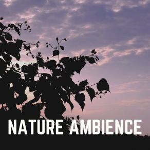 Nature Ambience album cover