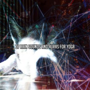 37 Rain Sounds And Auras For Yoga album cover