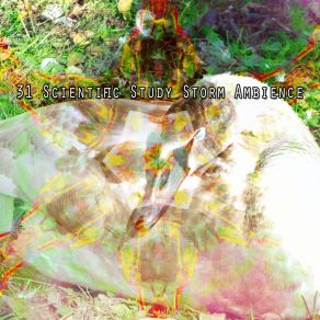 31 Scientific Study Storm Ambience album cover