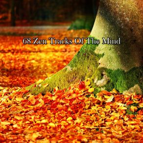 68 Zen Tracks Of The Mind album cover
