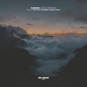 Levels (Remixes) album cover