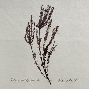 Place Of Growth album cover