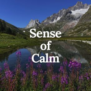Sense Of Calm album cover