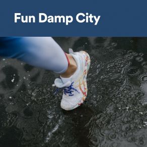 Fun Damp City album cover