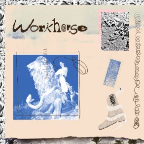 No Photographs album cover