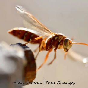 Trap Changes album cover