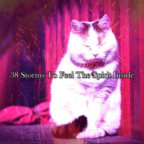 38 Storms To Feel The Spirit Inside album cover