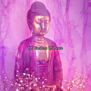 66 Gardens Of Peace album cover