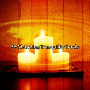 76 Charming Tranquility Tracks album cover