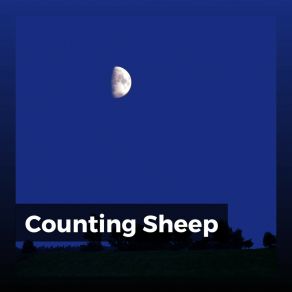 Counting She album cover