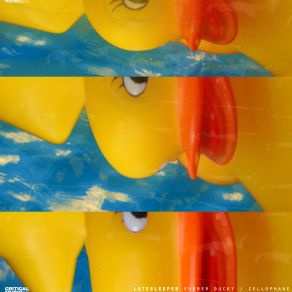 Rubber Ducky / Cellophane album cover