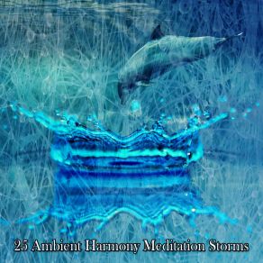 25 Ambient Harmony Meditation Storms album cover