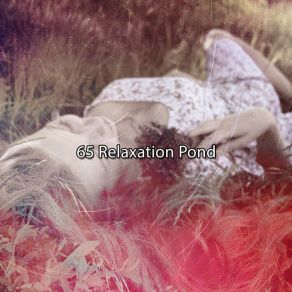 65 Relaxation Pond album cover