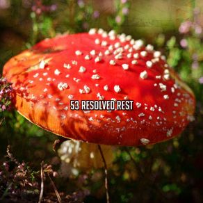 53 Resolved Rest album cover