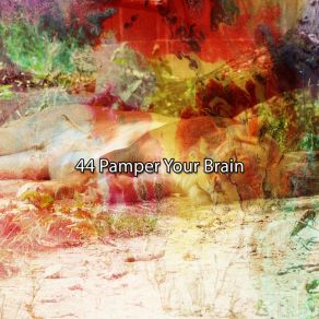 44 Pamper Your Brain album cover