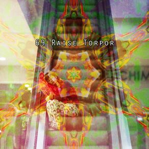 69 Raise Torpor album cover
