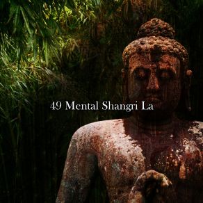 49 Mental Shangri La album cover
