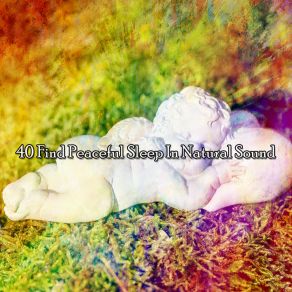 40 Find Peaceful Sleep In Natural Sound album cover
