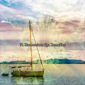 71 Harmonious Spa Remedies album cover