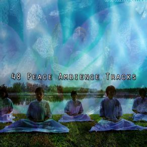 48 Peace Ambience Tracks album cover