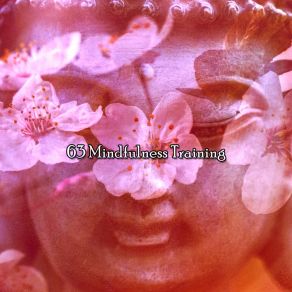 63 Mindfulness Training album cover