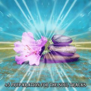45 Preparation For The Soul Tracks album cover