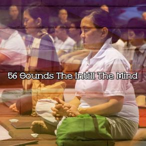 56 Sounds The Intill The Mind album cover