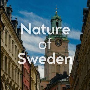 Nature Of Sweden album cover