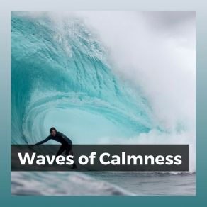Waves Of Calmness album cover