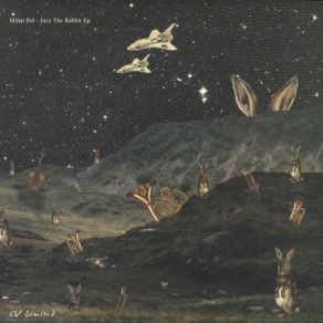 Jazz The Rabbit album cover