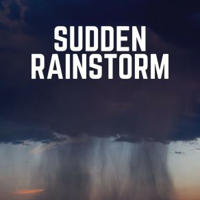 Sudden Rainstorm album cover