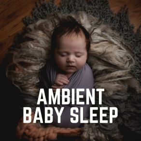 Ambient Baby Sle album cover