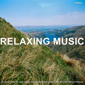 # 00001 Relaxing Music To Sleep, Enjoy The Night, Forget About Problems, Get In Touch With The Inner Self, Mindfulness album cover