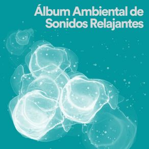 Álbum Ambiental De Sonidos Relajantes album cover